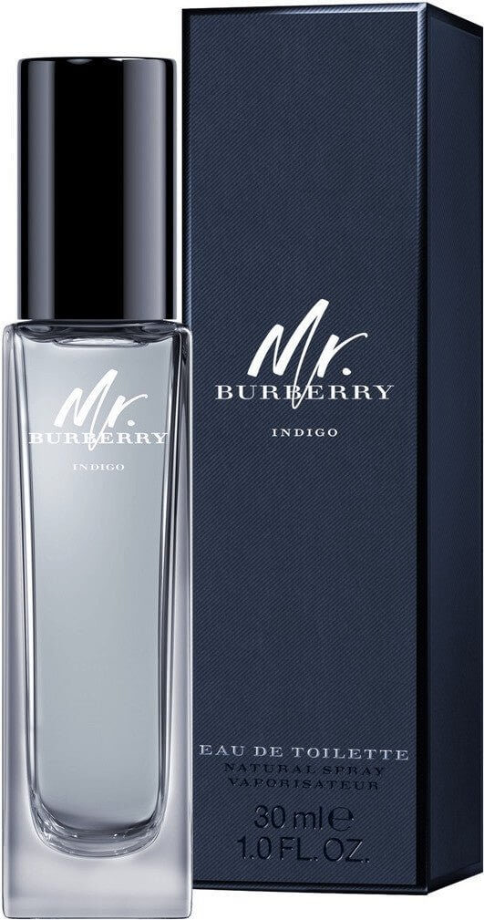 Burberry Mr. Burberry Indigo Eau de Toilette 30ml Spray - Luxuryhaircenter