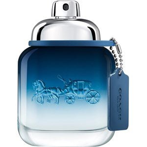 Coach Blue Eau de Toilette 40ml Spray - Luxuryhaircenter